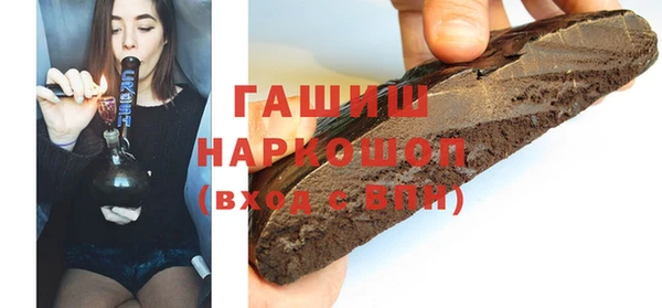 spice Инта