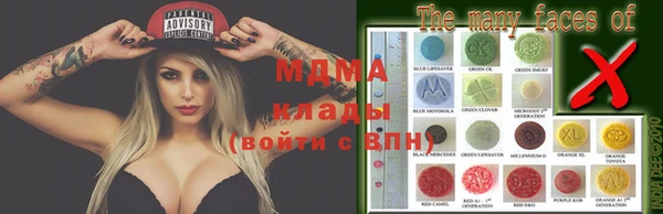 spice Инта