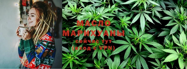 spice Инта