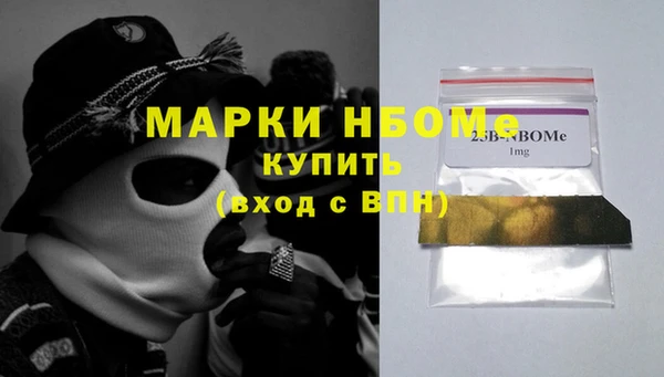 spice Инта
