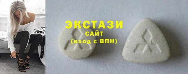 spice Инта