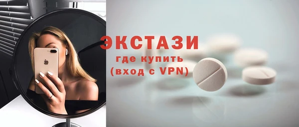 spice Инта