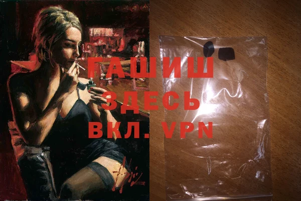 spice Инта