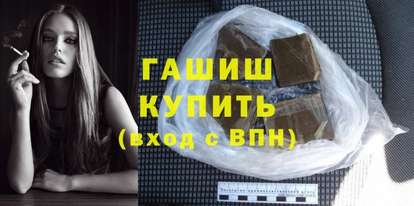 spice Инта