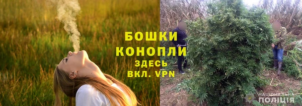 ГАЛЛЮЦИНОГЕННЫЕ ГРИБЫ Иннополис