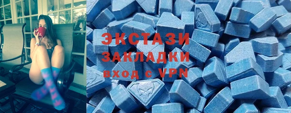 spice Инта