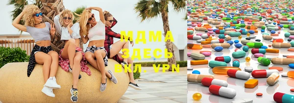 spice Инта