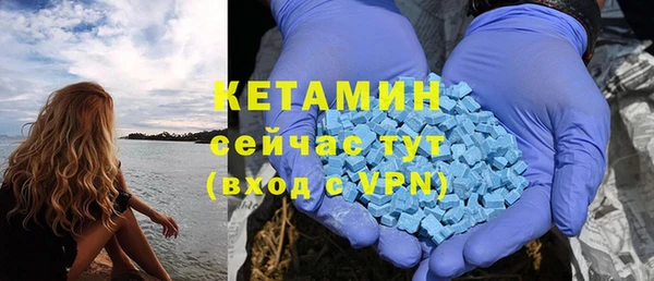 PSILOCYBIN Инсар