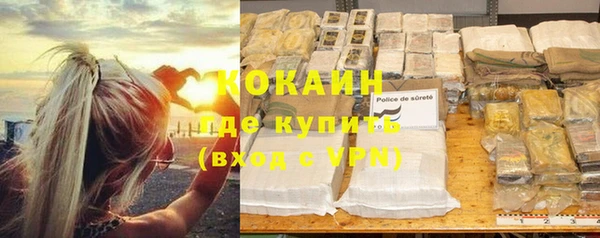 spice Инта