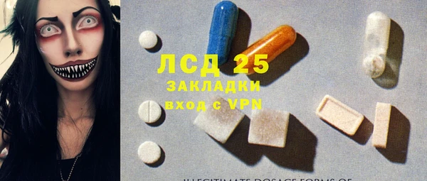 PSILOCYBIN Инсар
