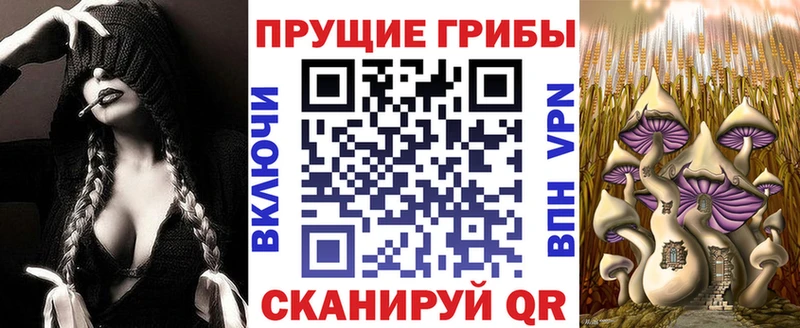 Псилоцибиновые грибы GOLDEN TEACHER  Купить где  Эртиль 